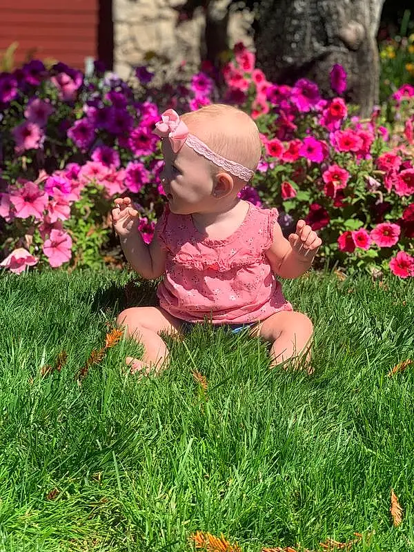 Flower, Plant, People In Nature, Leaf, Botany, Petal, Baby, Pink, Tree, Baby & Toddler Clothing, Grass, Hat, Red, Happy, Magenta, Groundcover, Toddler, Lawn, Annual Plant