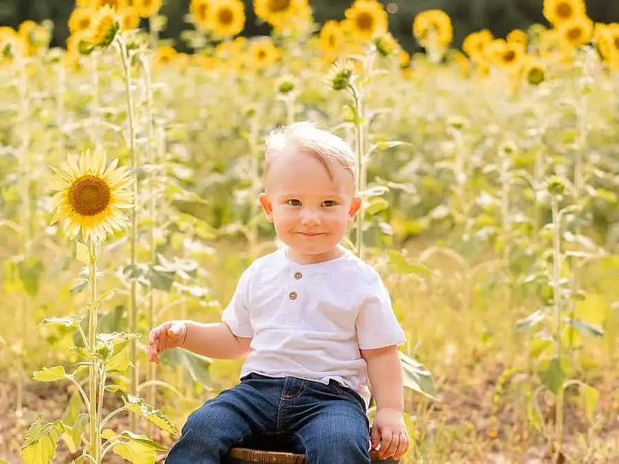 Flower, Plant, Photograph, People In Nature, Leaf, Happy, Yellow, Grass, Flash Photography, Sunlight, Grassland, Summer, Meadow, Prairie, Toddler, Field, Landscape, Petal, Child, Baby, Person, Joy