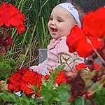 Face, Flower, Plant, Lip, Smile, Petal, Botany, People In Nature, Leaf, Grass, Happy, Pink, Baby, Toddler, Red, Baby & Toddler Clothing, Flowering Plant, Groundcover, Rose Family, Magenta, Person, Headwear
