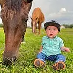 Horse, Plant, Sky, Eyes, Green, People In Nature, Natural Environment, Working Animal, Grass, Baby & Toddler Clothing, Happy, Liver, Baby, Grassland, Fawn, Toddler, Landscape, Meadow, Terrestrial Animal, Sorrel, Person, Surprise, Headwear