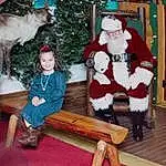 Christmas Tree, White, Christmas Ornament, Lap, Hat, Santa Claus, Tree, Christmas Decoration, Wood, Smile, Holiday, Christmas, Event, Fun, Christmas Eve, Toddler, Fur Clothing, Happy, Winter, Person, Joy