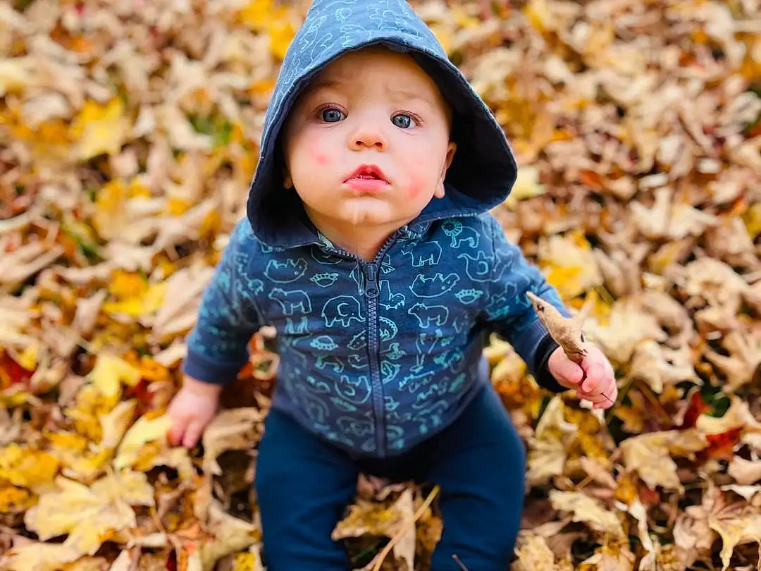 Face, People In Nature, Natural Environment, Grass, Sunlight, Yellow, Tree, Plant, Deciduous, Baby & Toddler Clothing, Woody Plant, Toddler, Wood, Tints And Shades, Baby, Child, Happy, Soil, Sitting, Landscape, Person, Headwear